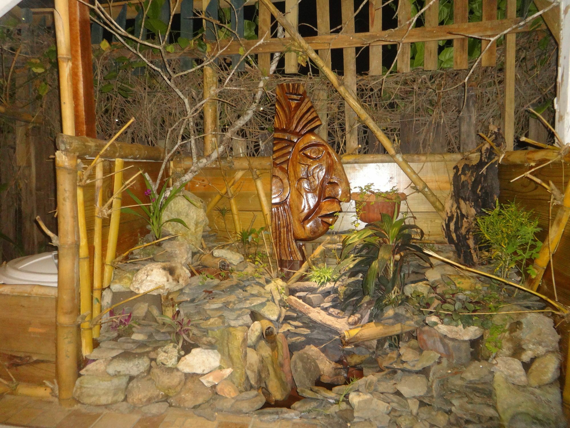 Cocopele Inn San Ignacio Luaran gambar